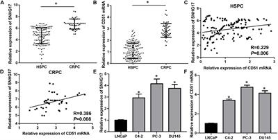 Long Non-coding RNA SNHG17 Promotes Cell Proliferation and Invasion in Castration-Resistant Prostate Cancer by Targeting the miR-144/CD51 Axis